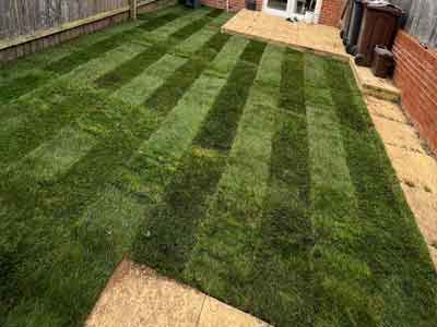 landscape turfing